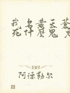 我名黄天苍天已死什么鬼 免费