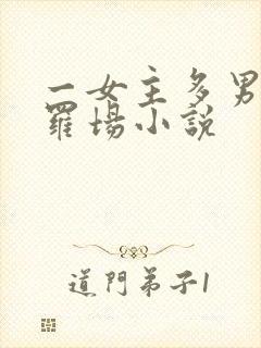 一女主多男主修罗场小说