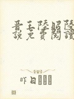 晋王陆昭陵的小说免费阅读封面