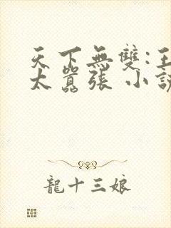 天下无双:王妃太嚣张 小说