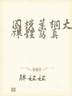 国模叶桐大尺度裸体写真封面