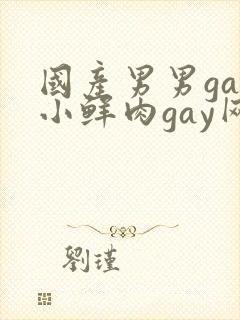 国产男男gay小鲜肉gay网站亚洲