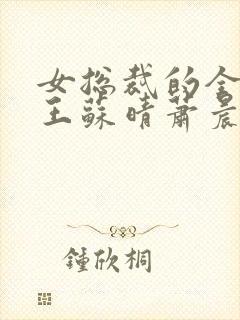 女总裁的全能兵王苏晴萧晨