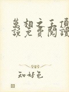 万相之王顶点小说免费阅读全文