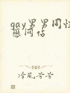 gay男男同性恋网站