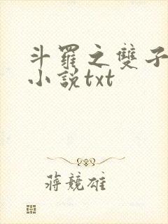 斗罗之双子斗罗小说txt