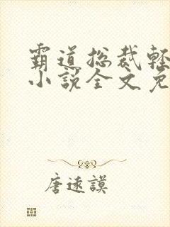 霸道总裁轻点宠小说全文免费阅读