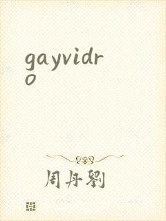 gayvidro封面