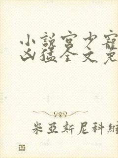 小说宫少宠妻太凶猛全文免费阅读