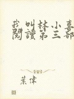 我叫林小喜全文阅读第三部封面