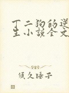 丁二狗的逆袭人生小说全文阅读