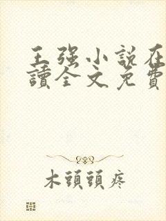 王强小说在线阅读全文免费封面