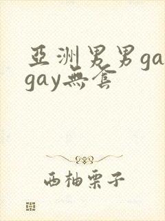 亚洲男男gaygay无套