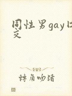 同性男gay囗交