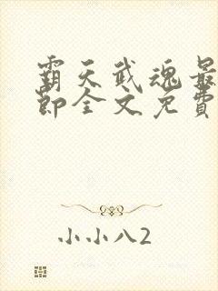 霸天武魂最新章节全文免费阅读无弹窗