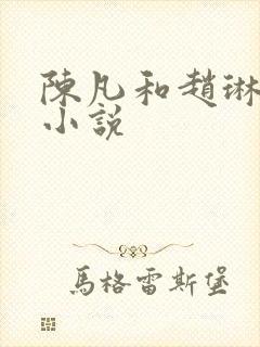 陈凡和赵琳琳的小说