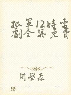 孤军12时电视剧全集免费播放高清