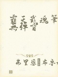 霸天武魂笔趣阁无弹窗