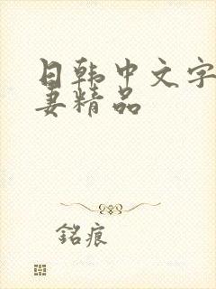 日韩中文字幕人妻精品