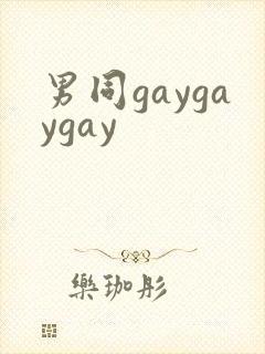 男同gaygaygay