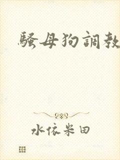 骚母狗调教文封面