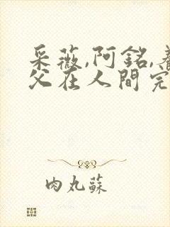 采薇,阿铭,养父在人间完整版