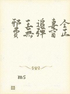 邪王追妻全文免费无弹窗正版封面