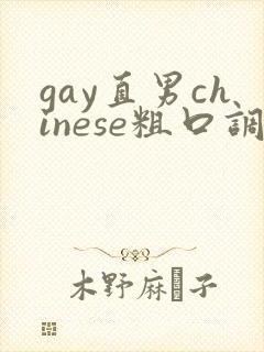 gay直男chinese粗口调教solo