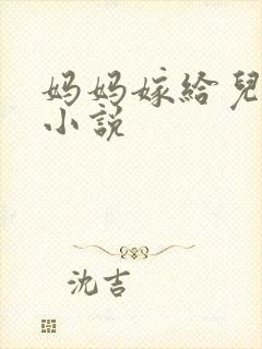 妈妈嫁给儿子的小说