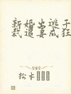 新婚出逃千亿总裁追妻成狂免费阅读