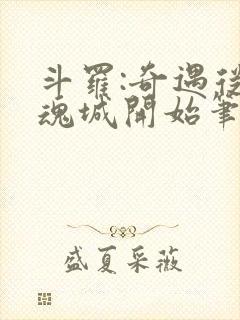 斗罗:奇遇从武魂城开始笔趣阁