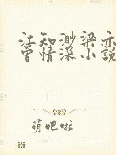 江知渺梁亦衡她曾情深小说最新章节封面