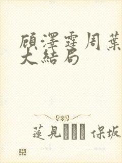 顾泽霆周叶番外大结局