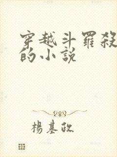 穿越斗罗杀唐三的小说