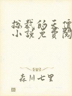 总裁的天价萌妻小说免费阅读