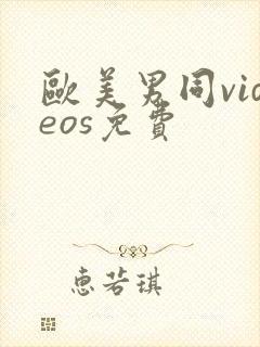 欧美男同videos免费封面