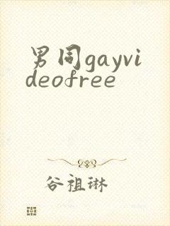 男同gayvideofree