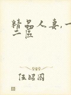 精品人妻,一区二区