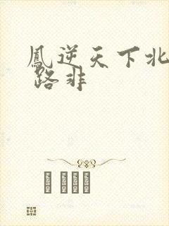 凤逆天下北月篇 路非