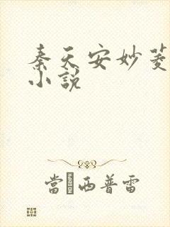 秦天安妙菱修仙小说