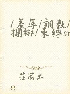 /羞辱/调教/捆绑/束缚sm男男封面