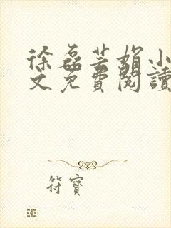 徐磊芸娟小说全文免费阅读封面