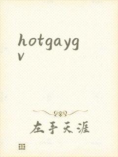hotgaygv