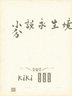 小说永生境界划分封面