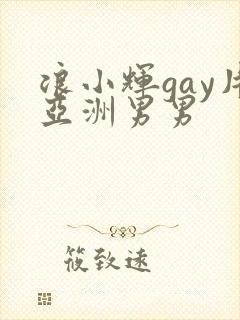 浪小辉gay片亚洲男男