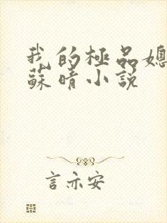 我的极品媳妇儿苏晴小说