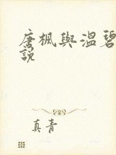 唐枫与温碧云小说封面