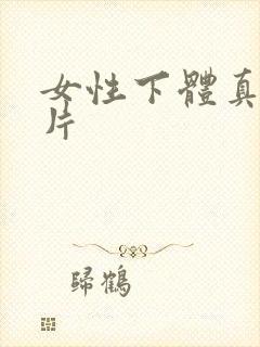 女性下体真实照片