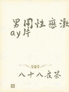 男同性恋激情gay片