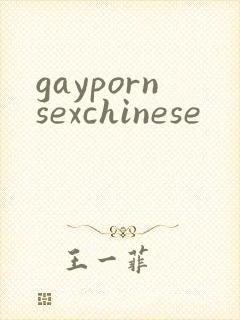 gaypornsexchinese封面